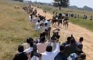 मोलड़नाथ मेला