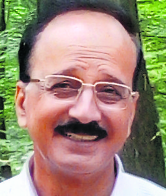 author-image